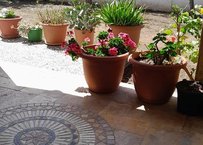 بيت ضيافة Inci