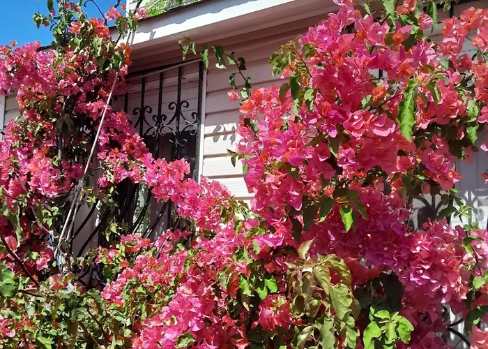 Inci بيت ضيافة *