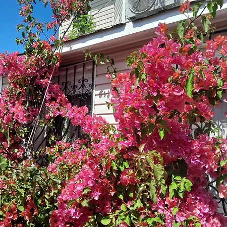Inci Guest house *
